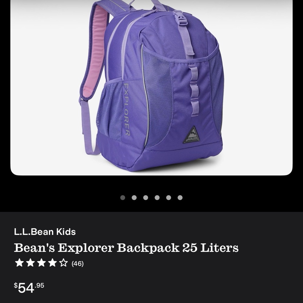 L.L. Bean Explorer Backpack - Picture 3 of 3